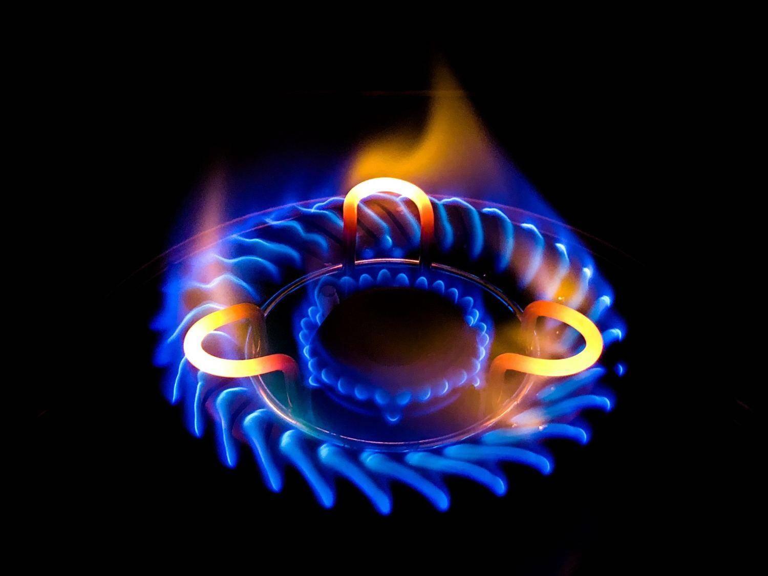 Lankstūs elektros energijos ir dujų tarifai namams ir įmonėms
